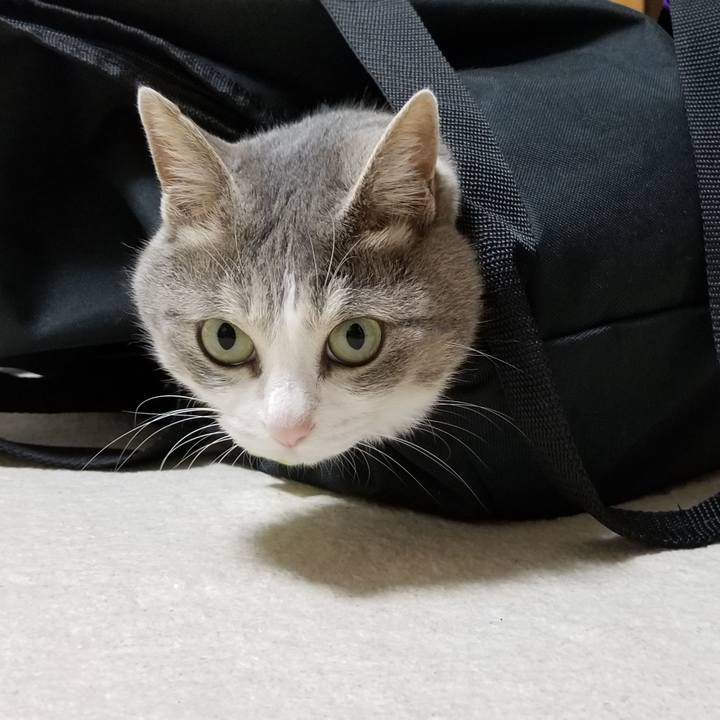 3d3f69d4 7374 412f 9ee1 3df798571cb9 1562900234970