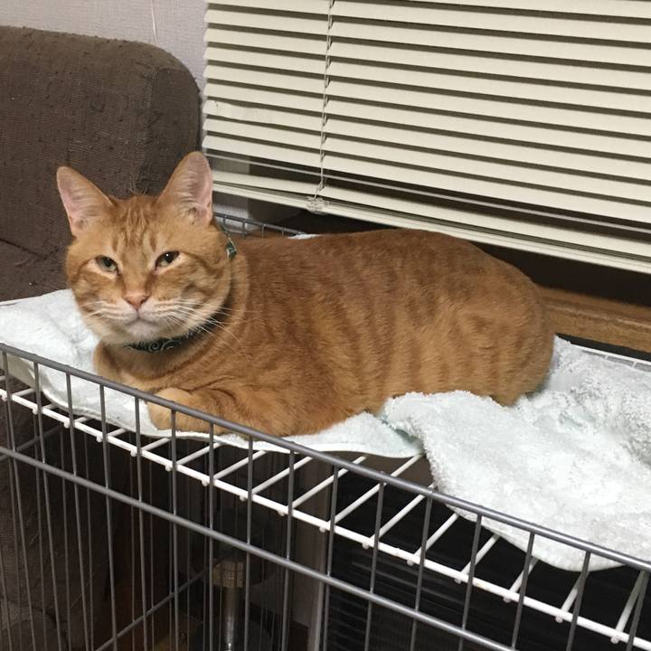 3d3f6a50 dcb9 4cbd a3fd df135e628405 1550659442690