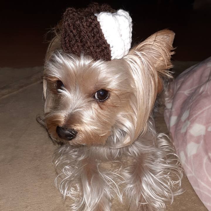 3d3f6b55 71fc 44cd 9c67 ede31c3d8b5b 1574856791868