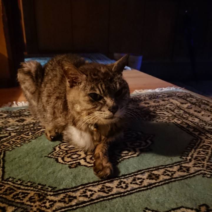 3d3f7ef6 25c7 43e3 89ad fcb3d3d525d8 1597606822502