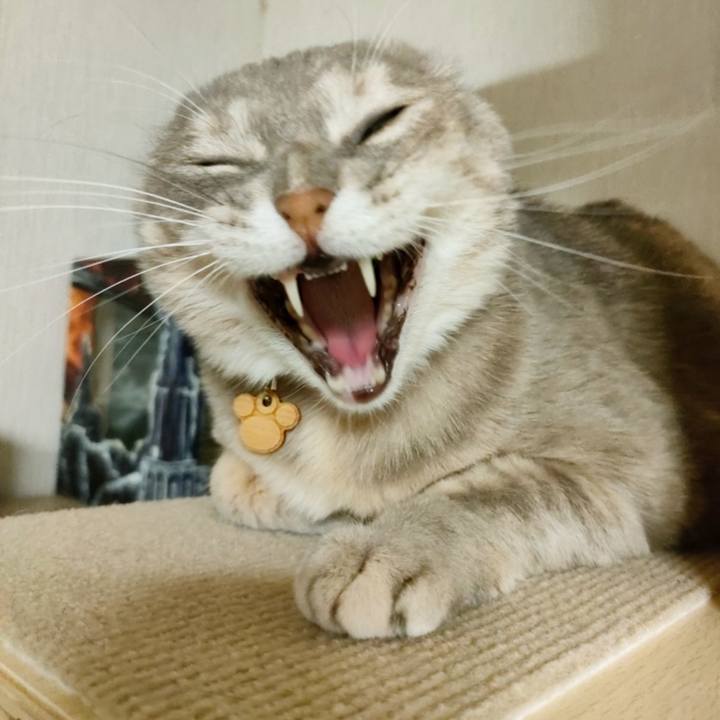 3d3fc073 538b 4fa9 bcf9 86f47bd98c9f 1645106835682