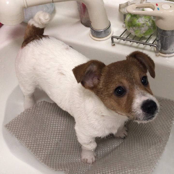 3d3fd4ba ec33 436a 87fc 5d66f4556a81 1546231959420