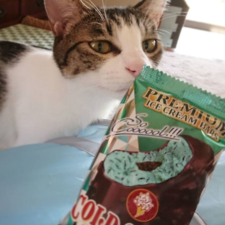 3d3fe907 805f 4e4c 90df a1bb5f2d71da 1509861398488