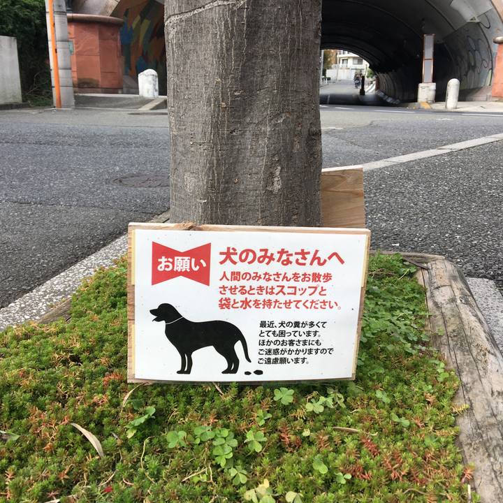 3d40194e b5ff 452d a3d5 9f1c734634ec 1511272263125