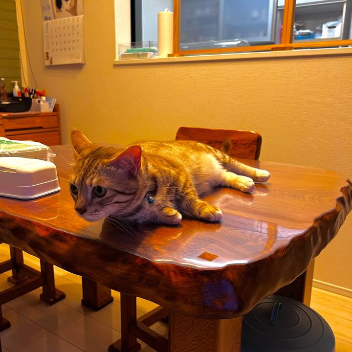 3d4073d3 a92f 4276 aceb 81cda2ec21c0 1716814199986