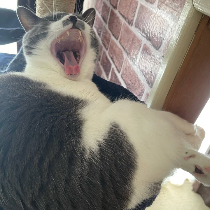 3d407b13 97df 40bd a24c 1cd3120a36b0 1657703552736