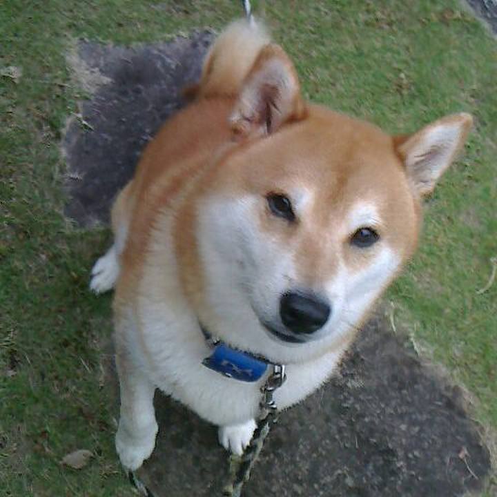 3d40a310 952d 4a8c 878f 0d7f479444bb 1572235490547