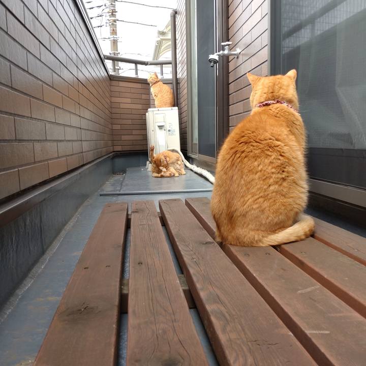 3d40b916 e32d 4cf5 8dfd ca360e3bc258 1650689902769