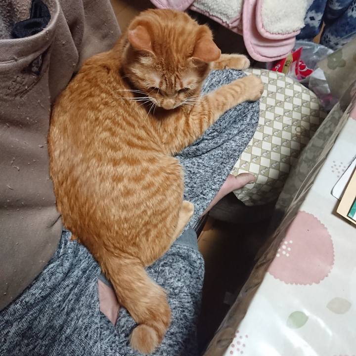 3d40b96b d88e 4d6d aed9 776f644df8eb 1644354654729