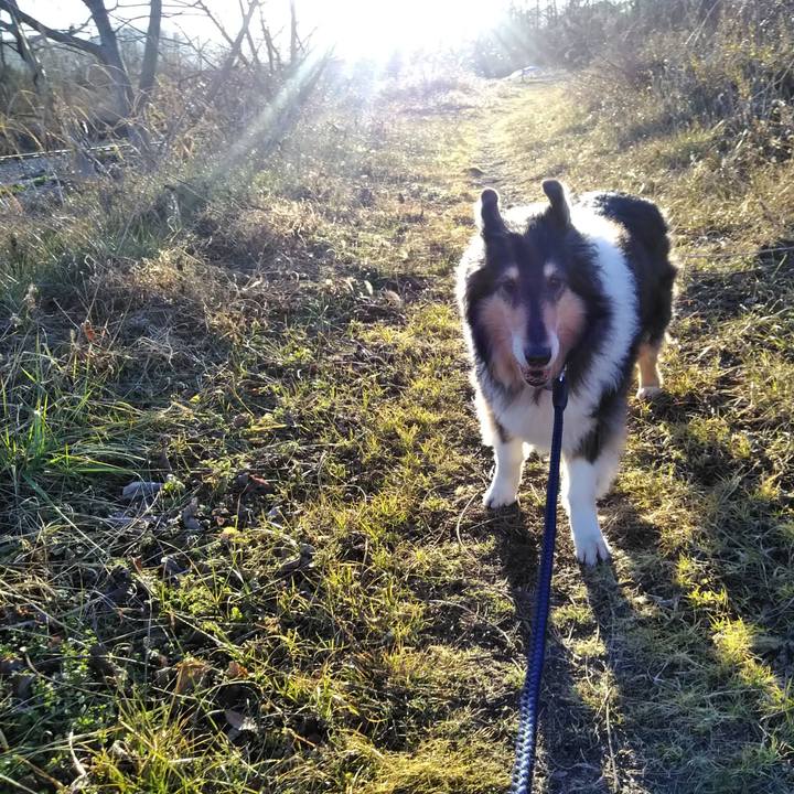 3d40bffb 8f2e 43a7 9e55 c199d4c86334 1549283437482