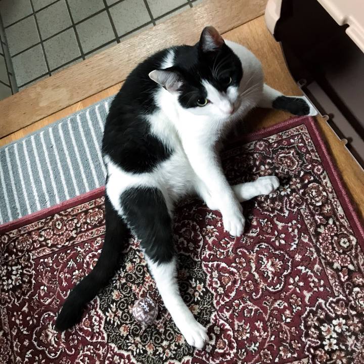 3d40c352 8d90 42fb 8fec ee0004029e51 1510710045779