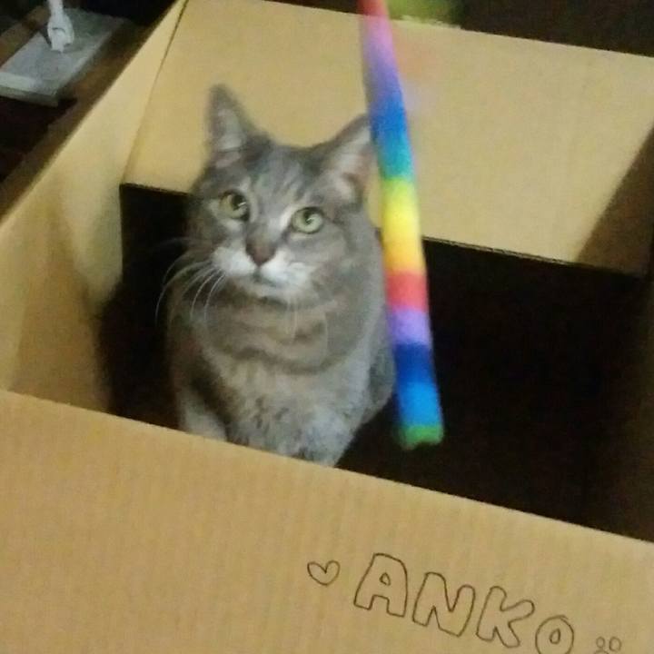 3d40cc85 26e8 42a0 baa7 6c9ebd7930ed 1552721403735