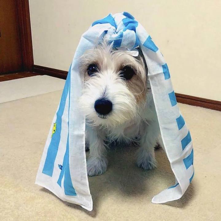 3d40d8cd 543a 4315 8931 20d887f66256 1695674800662