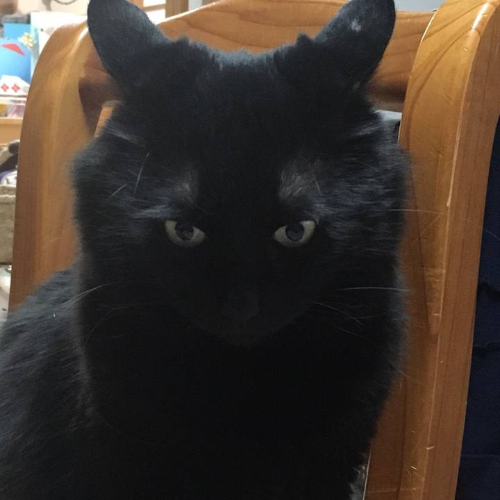 3d41024f 018b 4607 9963 3afce906cfbd 1525182682942