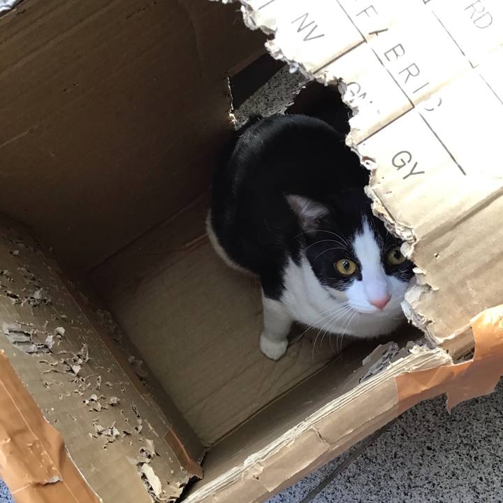 3d410275 1e58 41df 9a4f c0c63716fb06 1642144895667