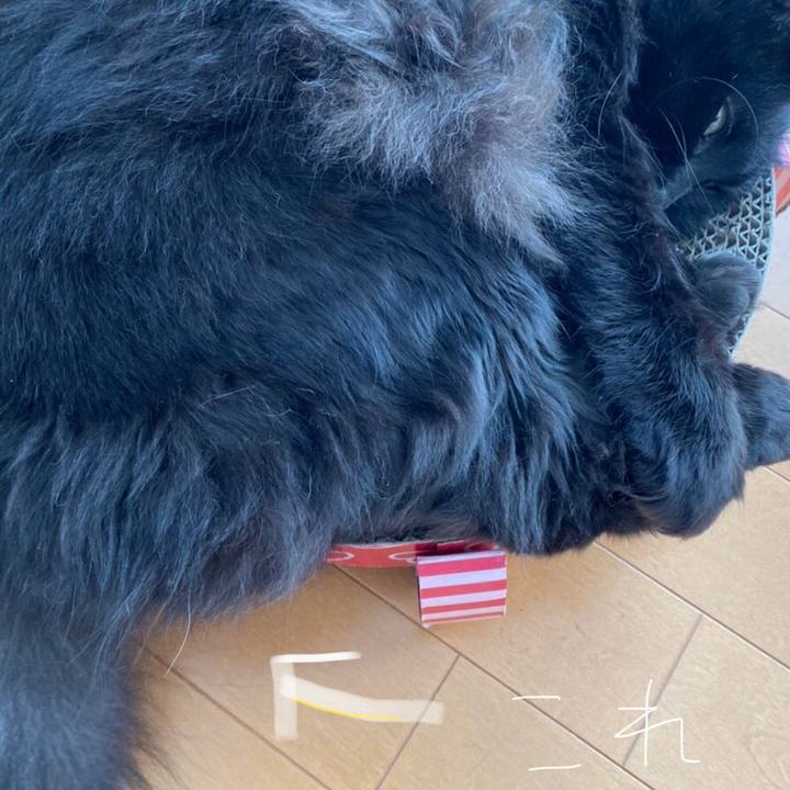 3d412840 4f9a 45d1 af85 0b688a045abd 1575180195118