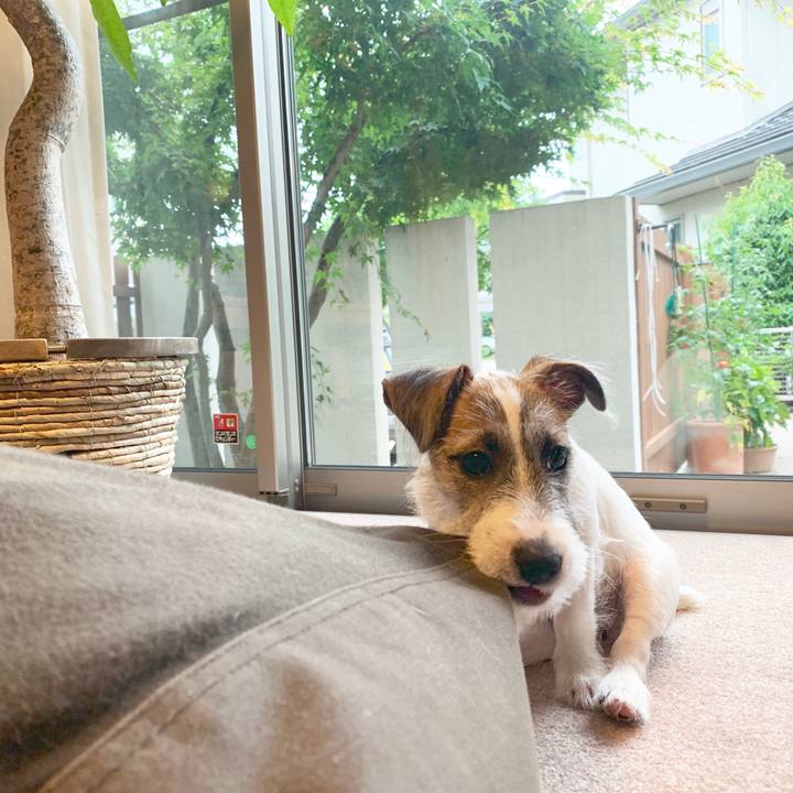 3d412c87 ef76 4487 b00e cae878953be9 1562223697538