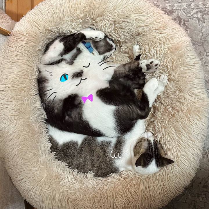 3d417db7 6d25 40a2 9eff f19e3af40ed2 1773137608738