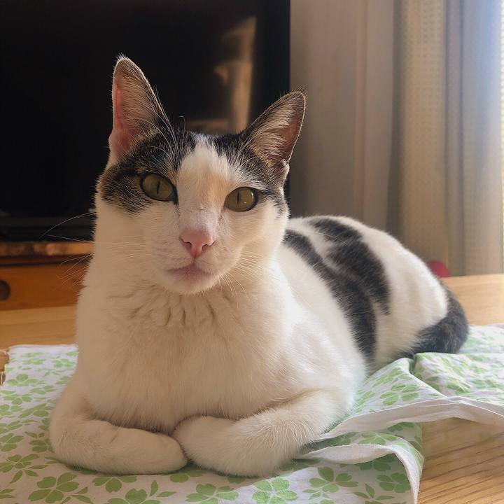 3d4182f7 3f79 4365 8051 ae4490a723c4 1680493190698