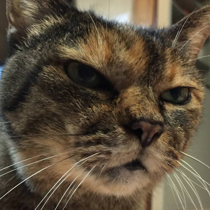 3d41aa76 9953 4b33 ad1a 428473b633f3 1558386545522