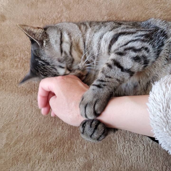 3d41ad2e bd07 47cd 994b 68d0af571fdf 1712659739105