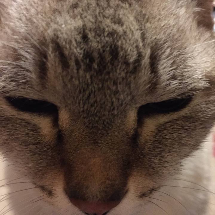 3d41b302 bdd4 4819 a06d a948e351946f 1542368790401