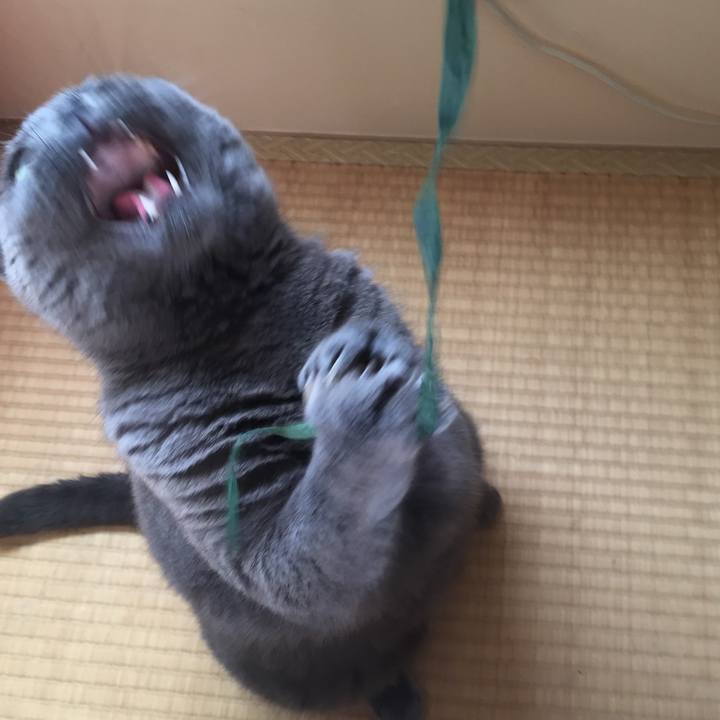 3d41f97d b101 4f8e 9938 6bf182a13f1e 1532648201260