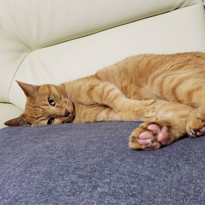 3d41ffea 3a27 4e0e 9620 83d2065091c6 1720090220148