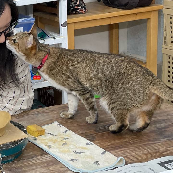 3d426ea6 495d 40dc b059 15f92c9f27d7 1738397187916