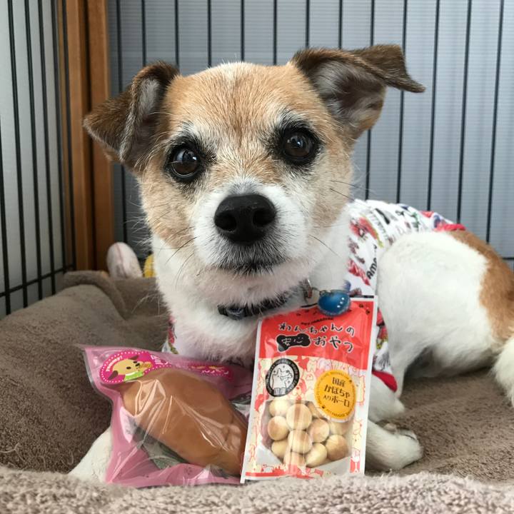 3d42be09 8cfd 4091 b473 94dda39b77c5 1620279462808