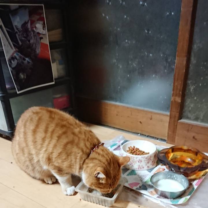 3d42c1e9 a723 48aa bd09 d7202bf617af 1607805052869