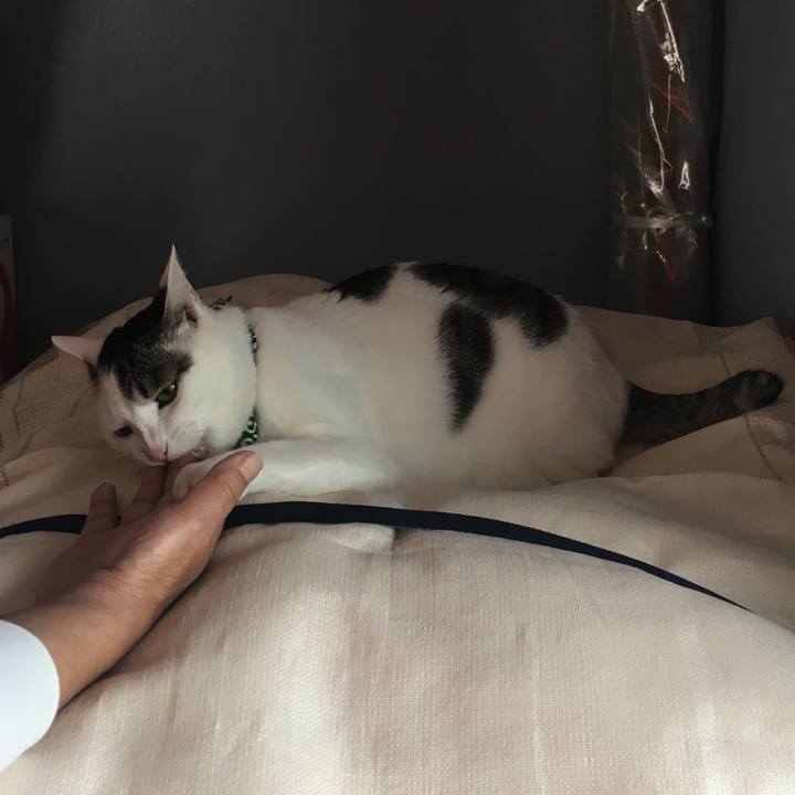 3d42d717 a6c8 46f9 b6b2 dbfff62f1ceb 1525437145571