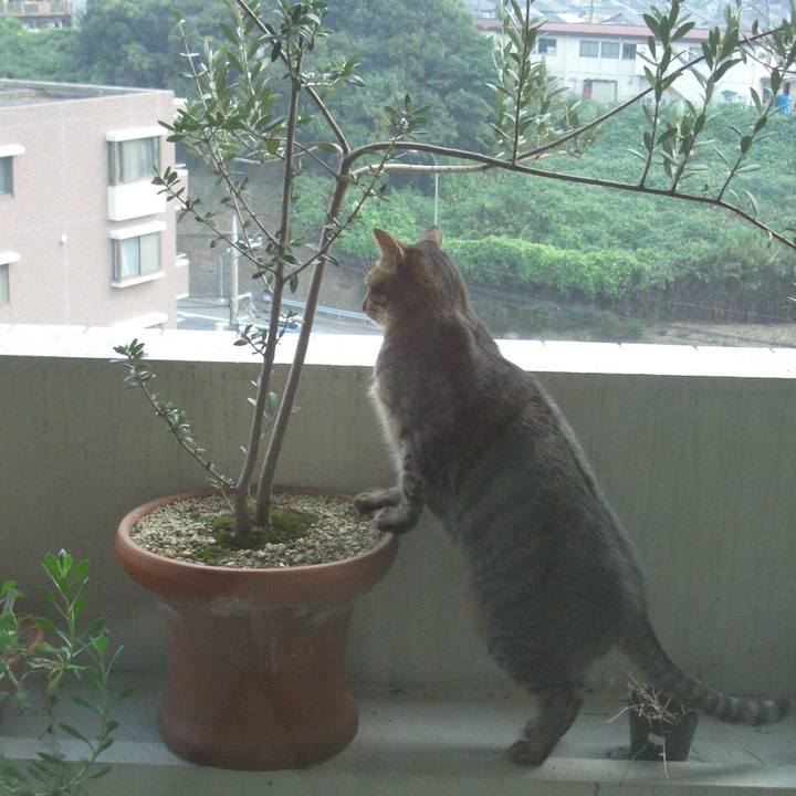 3d432b94 4671 4df3 b6a9 64f941120b58 1666141391048