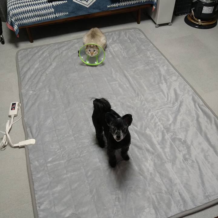 3d435bcc 35a2 4e12 bbe3 b14883d26d06 1731150057440