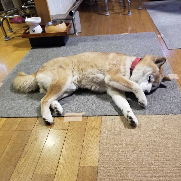 3d4369de 6114 4df4 81c0 e97273a48093 1768777309848