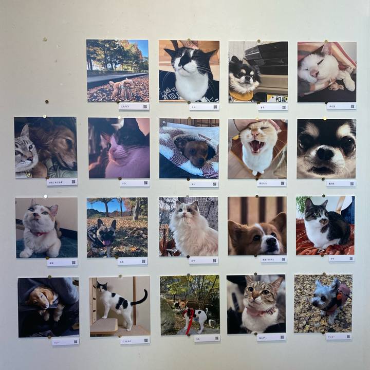 3d436bd8 8bb3 428c 99ba d0dd26b16cb1 1766232377352