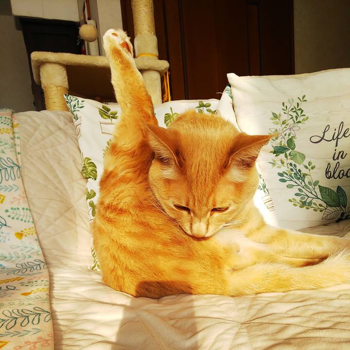 3d437f3d c4e0 4c3f 812a bdd01d9ec21f 1608771978465