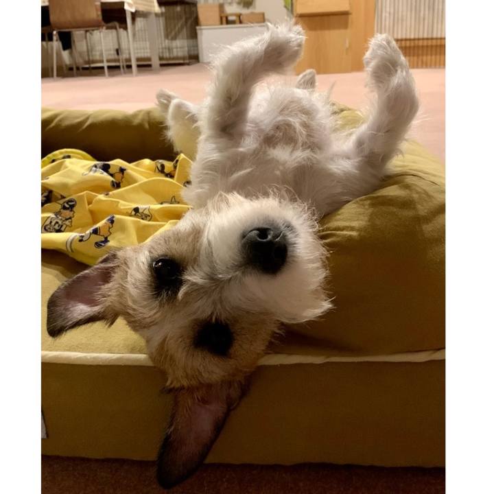 3d43e5b4 18c2 444a b802 41be50b63bc3 1656860518740