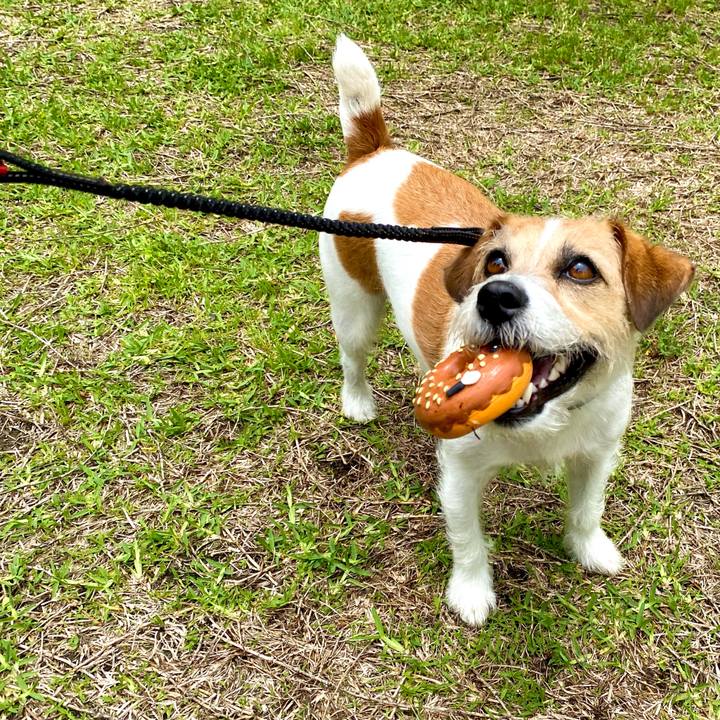 3d43e726 42da 491a ba7a 07fc31125cb2 1621598717813