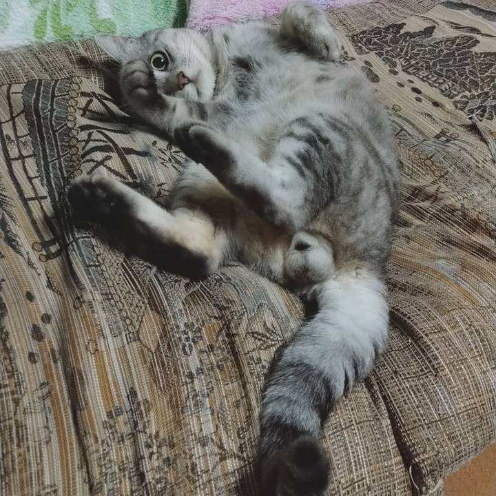 3d43f1c9 62de 438f b63d aad47e4d17b3 1595764108149