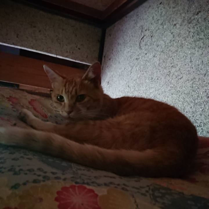 3d44142d a03b 4bee a8db 01058f2b6b5d 1595717453644