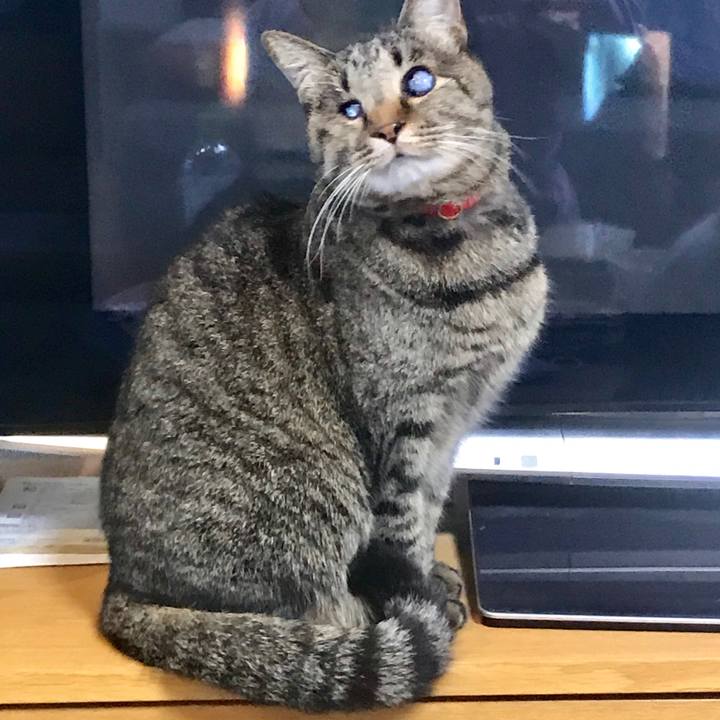 3d44411c 5cbb 4912 b4a1 92d76fd8f3f8 1546994278828