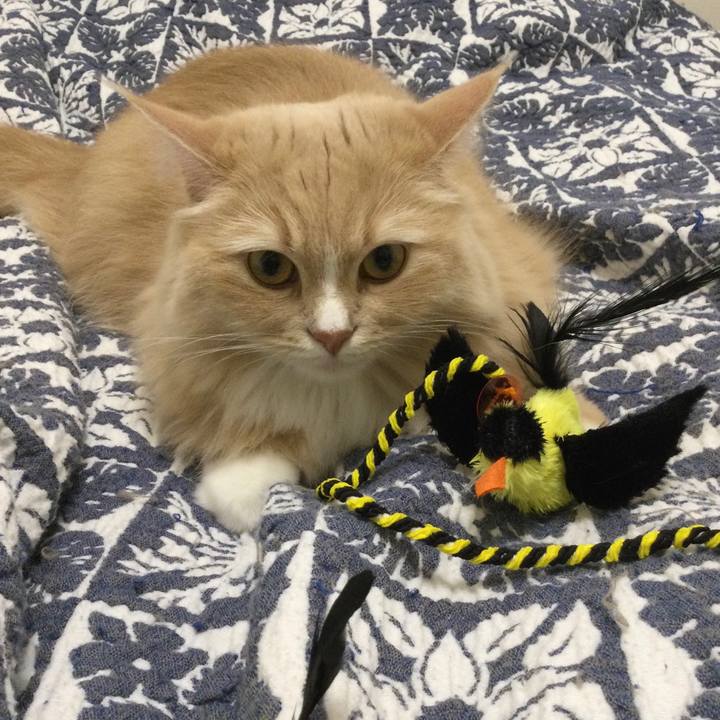 3d4482e3 473b 4859 81da d04e26ede04e 1637245222823