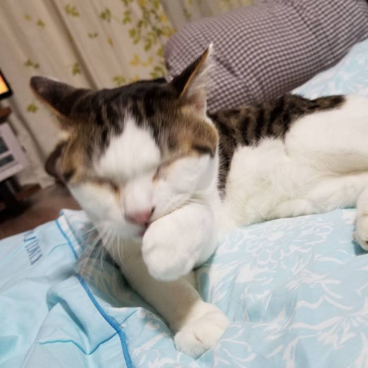 3d449618 088f 4616 b6be 0bf5c27d4411 1620131489653