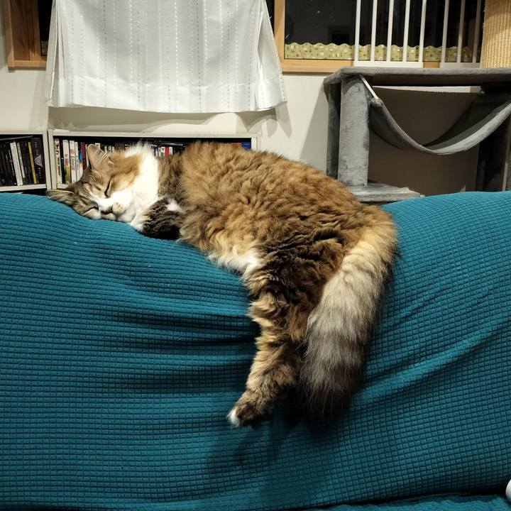 3d44a611 dbfd 46ac a996 c2999b616b37 1773066206933