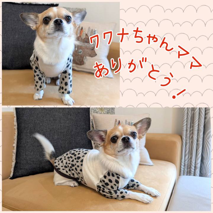 3d44b00f 792f 48e5 a6f3 5a1bcadbd016 1734255198330