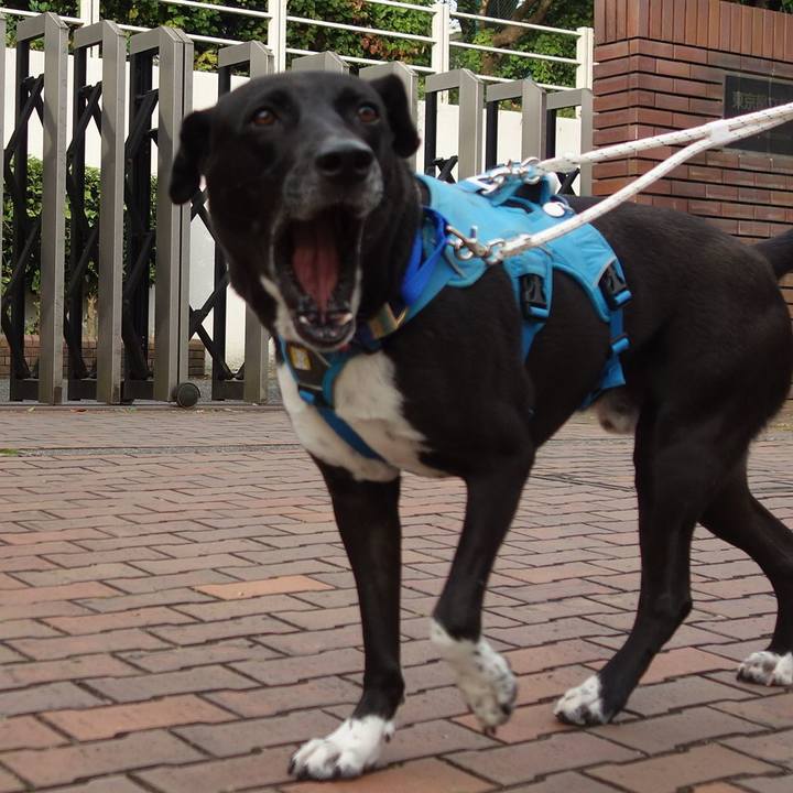 3d44b0cd 6d26 4c86 a526 0c84545fb9f1 1635121604521