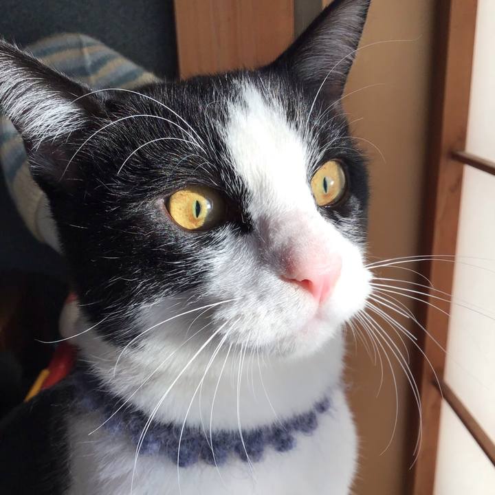 3d44c76a f317 40d7 be2b dc1be08b7ac0 1642806912405