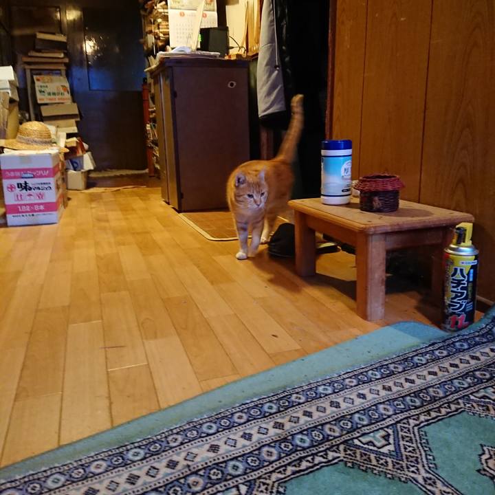 3d44e642 711b 4b71 ab4a 8737536b9c9a 1583916442327