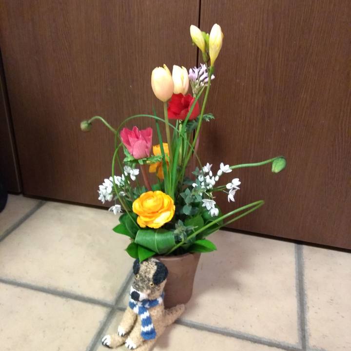 3d44e884 3f0c 442f b29a 6e3e709254b5 1579780391893